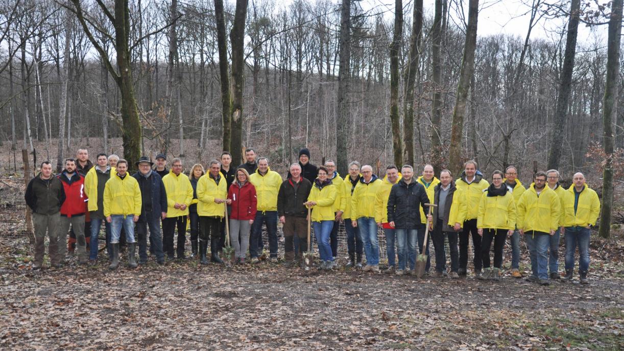 FRÄNKISCHE executives plant trees to fight climate change
